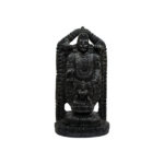 Lord Tirupati Balaji/Venkateshwara - VIII - Carved on Shaligram