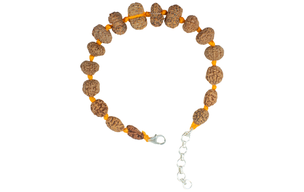 Rudraksha Sarvasiddhi Bracelet (1-14 Face Gaurishankar & Ganesh Rudraksha) - Indonesian Beads (Thread)