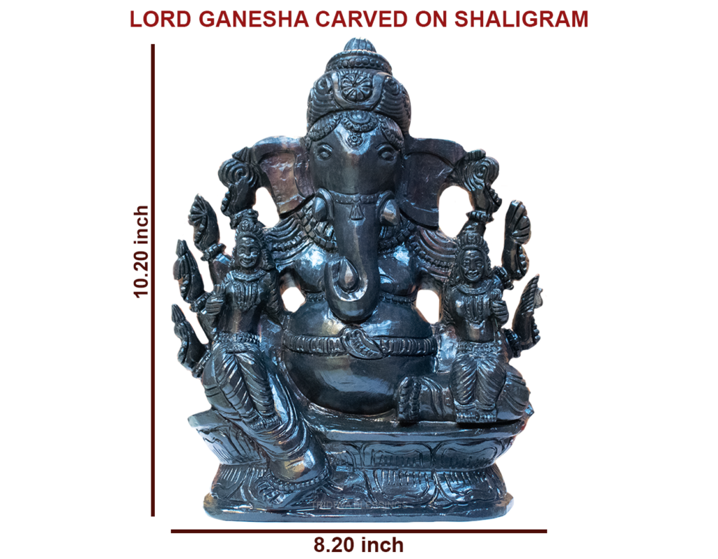 Adbhut Lord Ganesha- Carved on Shaligram