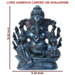 Adbhut Lord Ganesha- Carved on Shaligram