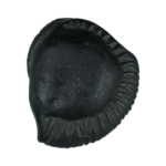 Sarvottam Golden Mahavishnu Sudarshan Chakra Shaligram
