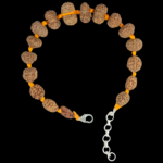 Rudraksha Sarvasiddhi Bracelet (1-14 Face Gaurishankar & Ganesh Rudraksha) - Indonesian Beads (Thread)