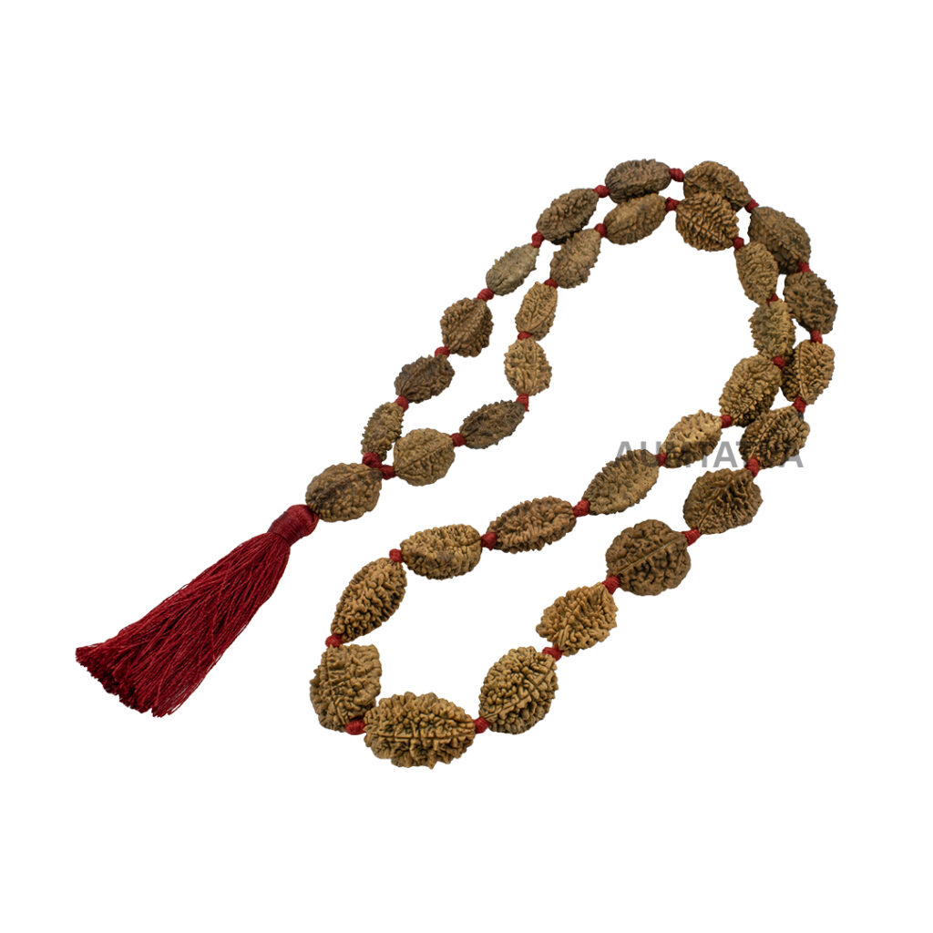 2 Mukhi Rudraksha Kantha / Moon Kantha / Two Face Rudraksha Kantha (32+1 Beads)