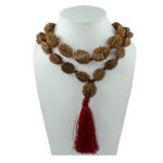 2 Mukhi Rudraksha Kantha / Moon Kantha / Two Face Rudraksha Kantha (32+1 Beads)