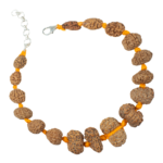 Rudraksha Sarvasiddhi Bracelet (1-14 Face Gaurishankar & Ganesh Rudraksha) - Indonesian Beads (Thread)