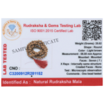 7 Mukhi Rudraksha Mala - 108+1 Beads - Lab Certified