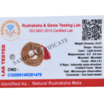 9 Mukhi Rudraksha Mala - 108+1 Beads - Lab Certified