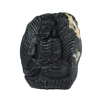 Adbhut Gautam Buddha Shaligram Idol- I- Carved on Sudarshan Shaligram