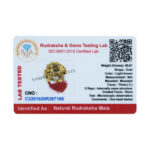 3 Mukhi Rudraksha Kantha/Mangal Kantha/ Three Face Rudraksha Kantha (36+1 Beads)