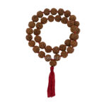 4 Mukhi Rudraksha Kantha/ Brahma Kantha / Four Face Rudraksha Kantha (36+1 Beads)