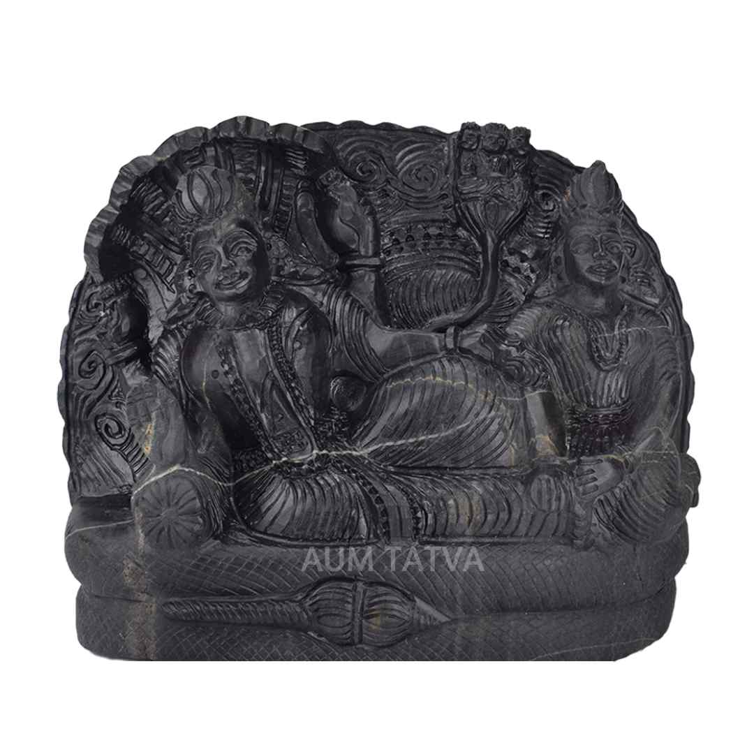 Shree Laxmi Narayan Shree Laxmi Narayan