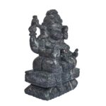 Janeudhari Shree Laxmi Narsimha Shaligram