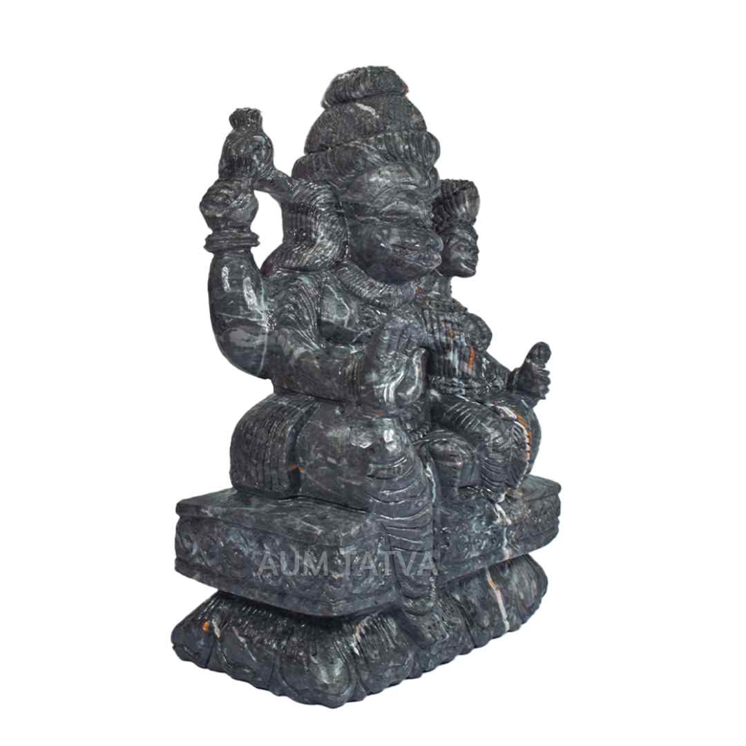 Janeudhari Shree Laxmi Narsimha Shaligram Janeudhari Shree Laxmi Narsimha Shaligram