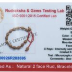 2 Mukhi Rudraksha Bracelet/Two Face Rudraksha Bracelet -15 Beads