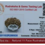 11 Mukhi Rudraksha Pendant/Eleven Face Rudraksha Pendant (Made in Pure Silver) - Nepal Bead