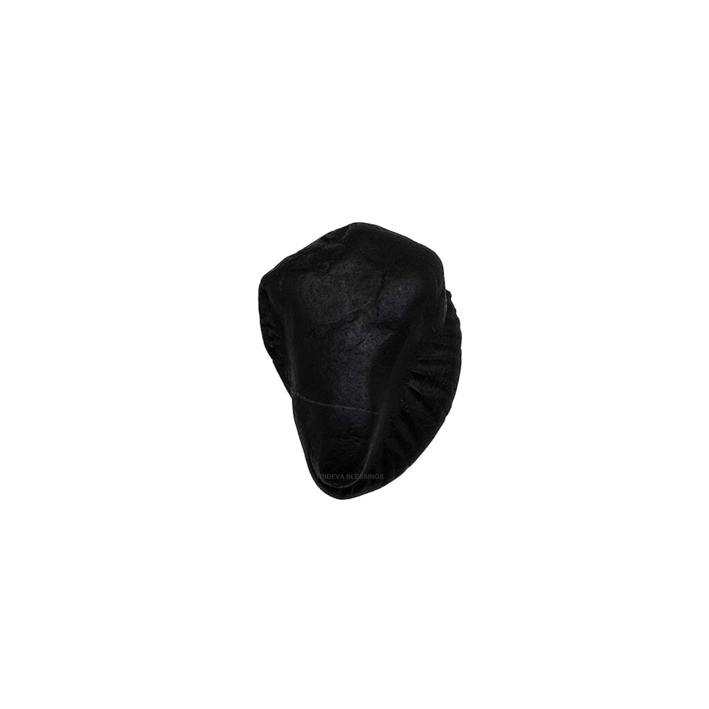 Sacred Ganesha Shaligram - II