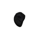 Sacred Ganesha Shaligram - II