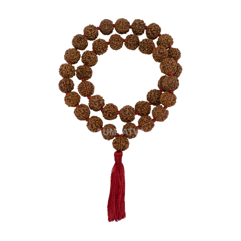 6 Mukhi Rudraksha Kantha / Kartikey Kantha / Six Face Rudraksha Kantha (36+1 Beads)
