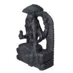 Maa
