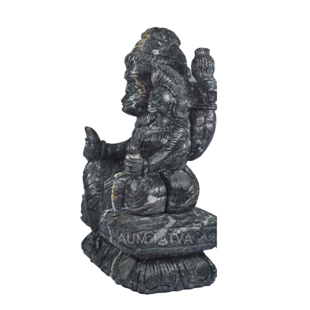 Janeudhari Shree Laxmi Narsimha Shaligram Janeudhari Shree Laxmi Narsimha Shaligram