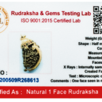 One Mukhi Rudraksha Pendant (Ganesha Golden Pendant)