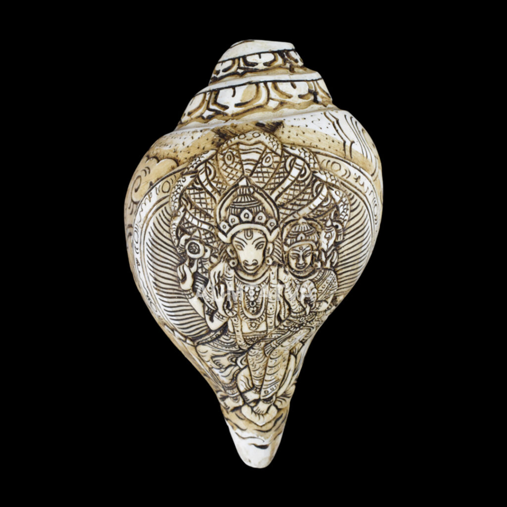 Shree Lakshmi Hayagriva Ji carved in Vamavarti Left hand Shankh