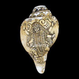 Goddess Kali carved in Vamavarti Left hand Shankh