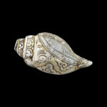 Lord Ram Sita Ji carved in Vamavarti Left hand Shankh