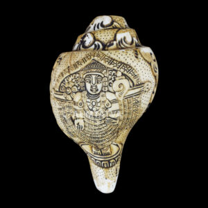 Lord Tirupati Balaji carved in Vamavarti Left hand Shankh