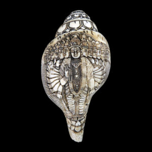 Vishwaroop of Lord Vishnu carved in Vamavarti Left hand Shankh