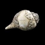 Lord Sleeping Vishnu, Brahma & Laxmi Ji carved in Vamavarti Left hand Shankh