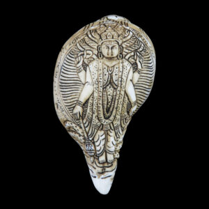 Lord Standing Vishnu Ji carved in Vamavarti Left hand Shankh