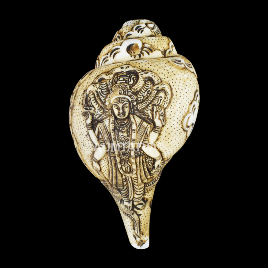 Lord Standing Vishnu Ji carved in Vamavarti Left hand Shankh