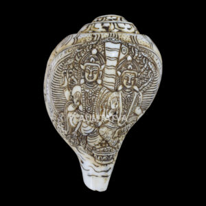 Vishnu Laxmi Ji carved in Vamavarti Left hand Shankh