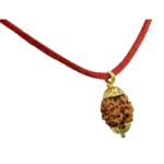2 Mukhi Rudraksha Pendant/Two Face Rudraksha Pendant - Golden Metal Cap (Lab Certified)