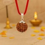 4 Mukhi Rudraksha