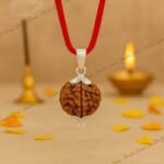 4 Mukhi Rudraksha