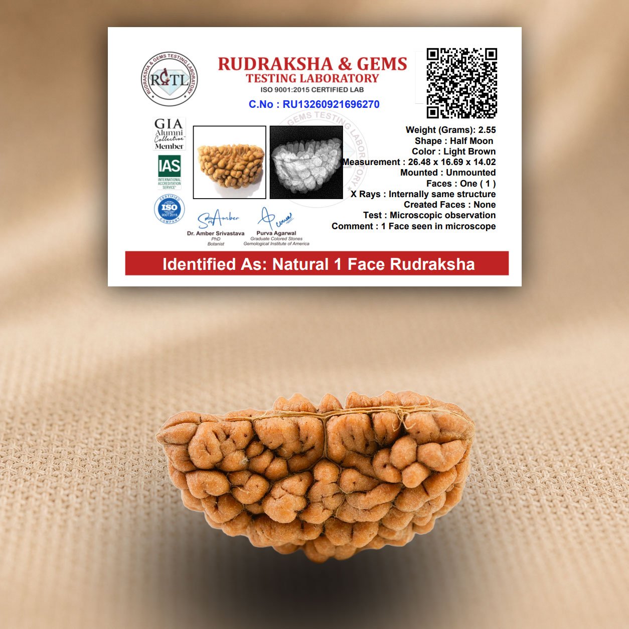 1 Mukhi Rudraksha Certificate