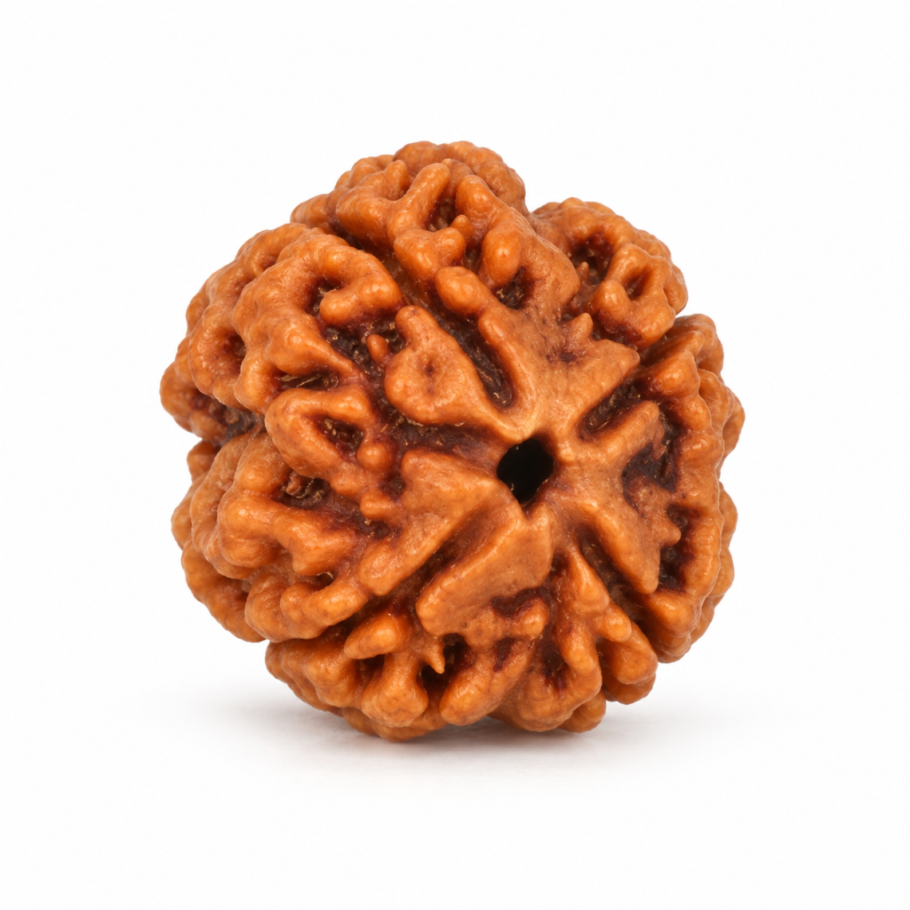 4 Mukhi Rudraksha