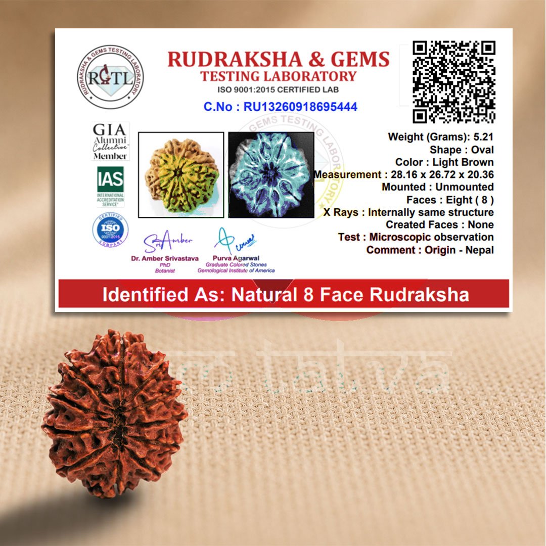 Rudraksha Certificate