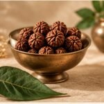 Sacred Rudraksha
