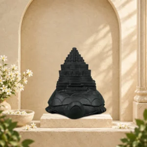 Meru Shri Yantra on Kurma (Tortoise) Carved on Natural Shaligram Stone