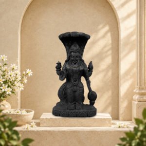 Hand-Carved Lord Vishnu Ji on Natural Shaligram Stone