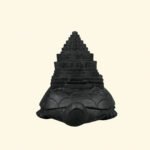 Meru Shri Yantra on Kurma (Tortoise) Carved on Natural Shaligram Stone