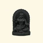 Madhvacharya Ji Maharaj on Natural Shaligram Stone