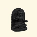 Madhvacharya Ji Maharaj on Natural Shaligram Stone