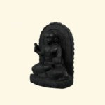 Madhvacharya Ji Maharaj on Natural Shaligram Stone