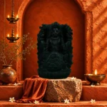 Kurma Avatar of Lord Vishnu Ji on Natural Shaligram Stone