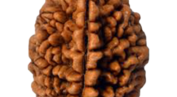 2-MUKHI